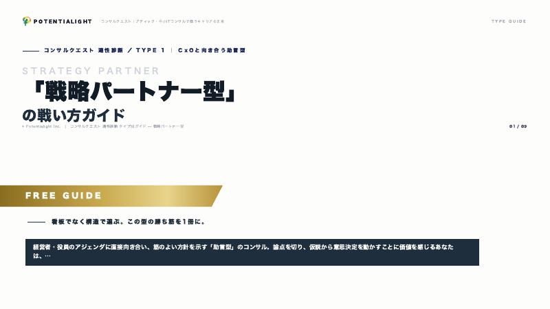 戦略パートナー型の戦い方ガイド 表紙