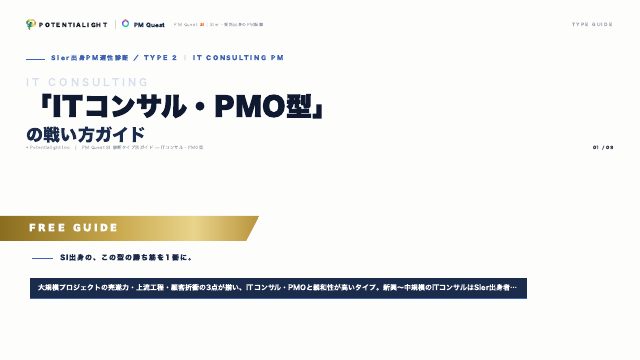 ITコンサル・PMO型の戦い方ガイド 表紙